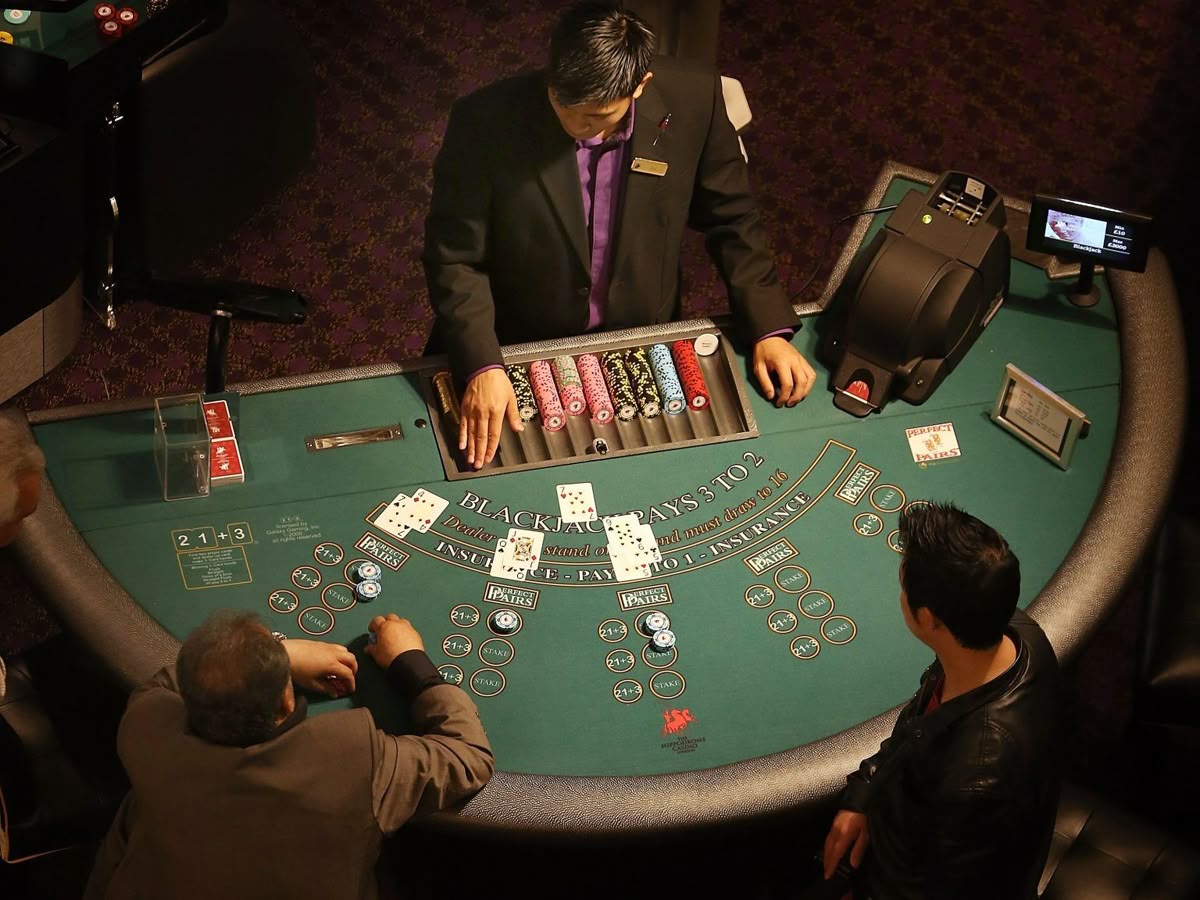 Springbok Casino کیسینو میں پوکر گیمز